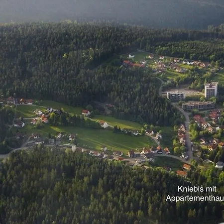 Apartment Ein-raum Jung Freudenstadt-kniebis