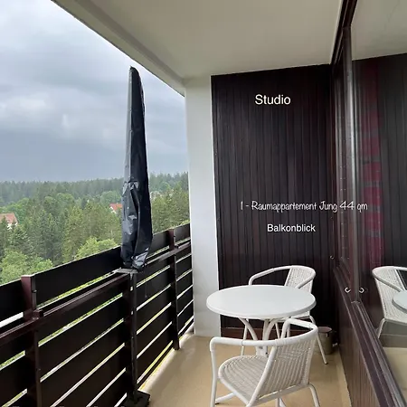 Apartment Ein-raum Jung Freudenstadt-kniebis Freudenstadt