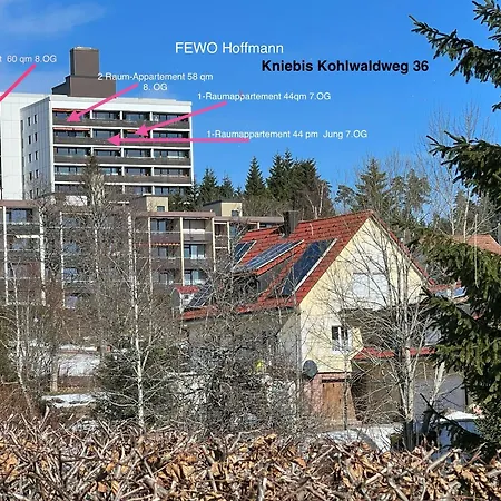 Ein-raum Jung Freudenstadt-kniebis *