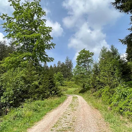 Ein-raum Jung Freudenstadt-kniebis