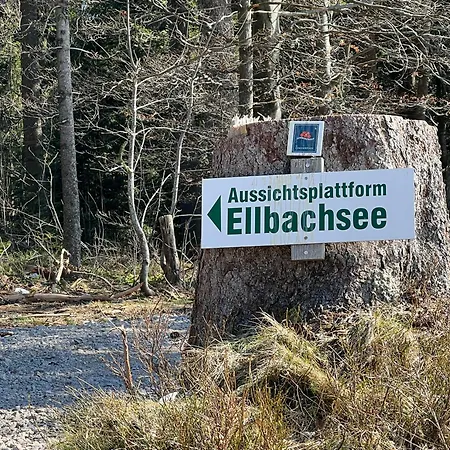 Ein-raum Jung Freudenstadt-kniebis * Freudenstadt