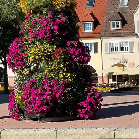 Apartamento Ein-raum Jung Freudenstadt-kniebis