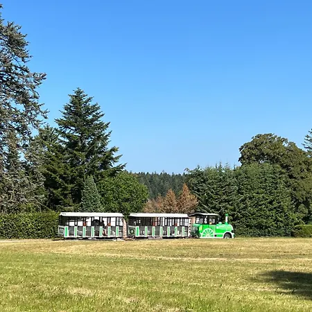 Ein-raum Jung Freudenstadt-kniebis *