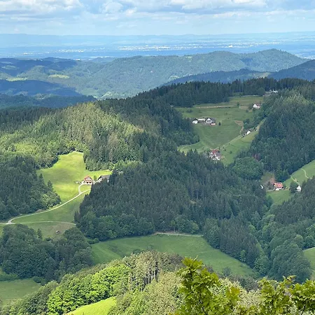 Ein-raum Jung Freudenstadt-kniebis *