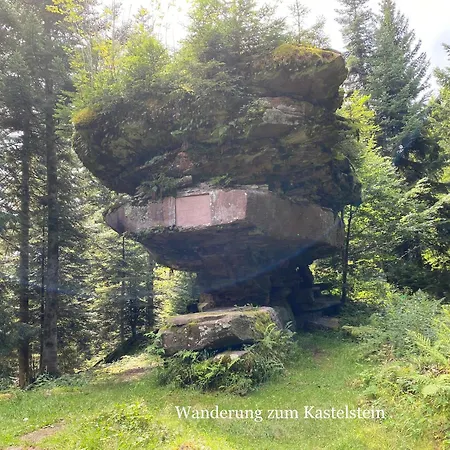 Ein-raum Jung Freudenstadt-kniebis Apartamento