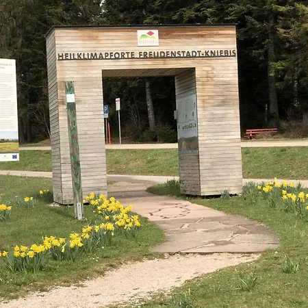 Apartment Ein-raum Jung Freudenstadt-kniebis *