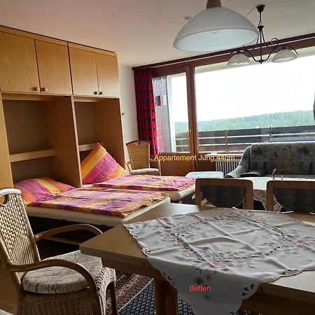 Ein-raum Jung Freudenstadt-kniebis Apartment